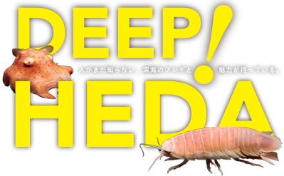 深海魚の漁 深海魚の聖地 Heda 戸田 戸田地区深海魚活用推進協議会 公式ホームページ