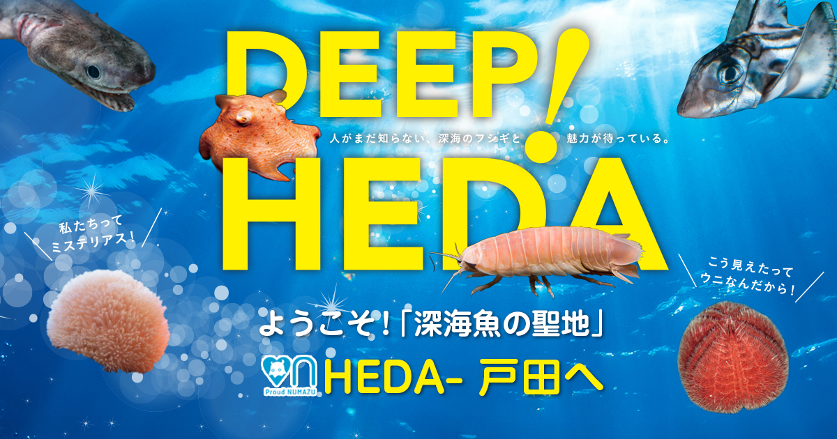 深海とは 深海魚の聖地 Heda 戸田 戸田地区深海魚活用推進協議会 公式ホームページ