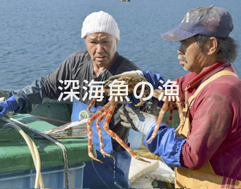 戸田の深海魚